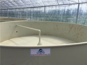 工廠化水產養殖設計 高效節水節地，引領生態環保新潮流