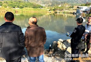 廈門集美雙嶺村養殖場迎節前“安全體檢”，筑牢水產品安全防線